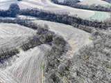 229.98&Acirc;&plusmn; Acres Whitcomb Lane - Photo 24