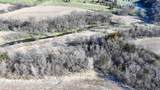 229.98&Acirc;&plusmn; Acres Whitcomb Lane - Photo 28