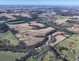 229.98&Acirc;&plusmn; Acres Whitcomb Lane - Photo 3