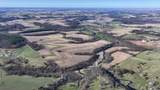 229.98&Acirc;&plusmn; Acres Whitcomb Lane - Photo 35