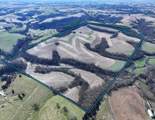229.98&Acirc;&plusmn; Acres Whitcomb Lane - Photo 4