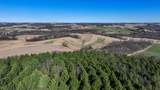 229.98&Acirc;&plusmn; Acres Whitcomb Lane - Photo 42