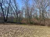 229.98&Acirc;&plusmn; Acres Whitcomb Lane - Photo 45