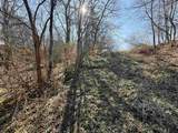 229.98&Acirc;&plusmn; Acres Whitcomb Lane - Photo 47