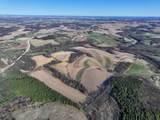229.98&Acirc;&plusmn; Acres Whitcomb Lane - Photo 5