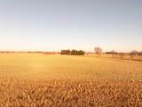 38.2 M/L Acres Slinde Road - Photo 9