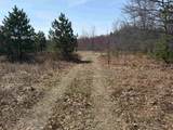 40 acres Town Hall Road - Photo 1