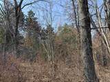 40 acres Town Hall Road - Photo 10