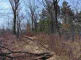 40 acres Town Hall Road - Photo 12