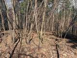 40 acres Town Hall Road - Photo 24