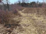 40 acres Town Hall Road - Photo 9