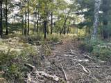 287Acres Driftwood Avenue - Photo 11