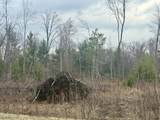 287Acres Driftwood Avenue - Photo 17