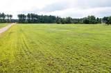 8.46 Acres Coon Rock Road - Photo 6
