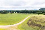 8.46 Acres Coon Rock Road - Photo 9