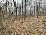 L150 Black Forest Pine Cone Lane - Photo 1