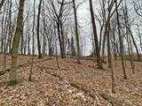 L150 Black Forest Pine Cone Lane - Photo 11