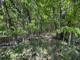 L150 Black Forest Pine Cone Lane - Photo 3