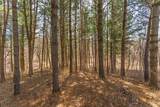 Lot 63 Staghorn Court - Photo 1