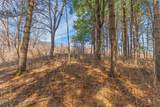 Lot 63 Staghorn Court - Photo 11