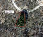 Lot 63 Staghorn Court - Photo 4
