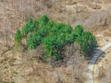 Lot 63 Staghorn Court - Photo 9