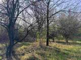 5.3 M/L Acres Palmer Road - Photo 10