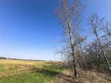 5.3 M/L Acres Palmer Road - Photo 14