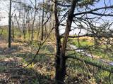 5.3 M/L Acres Palmer Road - Photo 15