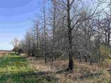 5.3 M/L Acres Palmer Road - Photo 9