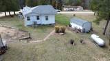 2284 Pine Drive - Photo 54