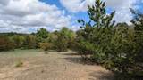 L51 Eagle Circle - Photo 2