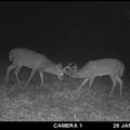 N1027 Gavin Road - Photo 29