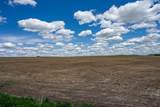 17.855 AC Mc Williams Road - Photo 9