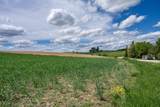 29.21 AC Redstone Drive - Photo 8