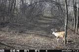 59 +/- Ac State Hwy 80 - Photo 1
