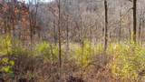 59 +/- Ac State Hwy 80 - Photo 19
