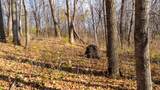59 +/- Ac State Hwy 80 - Photo 22