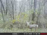 59 +/- Ac State Hwy 80 - Photo 23