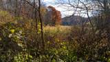 59 +/- Ac State Hwy 80 - Photo 41