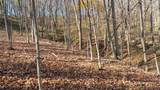 59 +/- Ac State Hwy 80 - Photo 45
