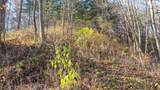 59 +/- Ac State Hwy 80 - Photo 46