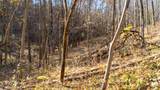 59 +/- Ac State Hwy 80 - Photo 53