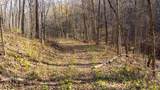 59 +/- Ac State Hwy 80 - Photo 56