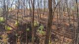 59 +/- Ac State Hwy 80 - Photo 57