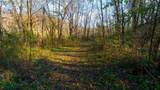 59 +/- Ac State Hwy 80 - Photo 74
