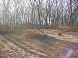 2979 5th Lane - Photo 17