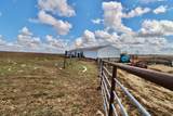 17166 Dunbarton Road - Photo 14
