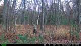 0000 Badger Drive - Photo 2