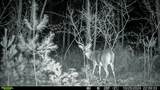 0000 Badger Drive - Photo 51